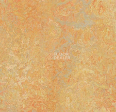 Линолеум Forbo Marmoleum Marbled Vivace 3411-341135 sunny day фото 1 | FLOORDEALER